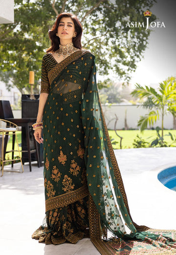 Asim Jofa Net Emboirdered Saree